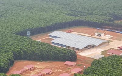 Socfin Cambodia, new rubber factory