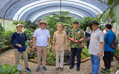 A visit from the representative of the Director General of Trade, Industry, Commodities and Intellectual Property, Ministry of Foreign Affairs of the Republic of Indonesia